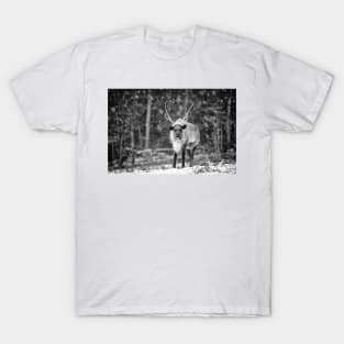 Caribou T-Shirt